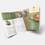 High-quality brochures printing Dubai with vibrant full-color designs