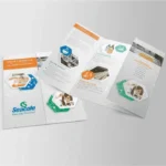 High-quality brochures printing Dubai with vibrant full-color designs