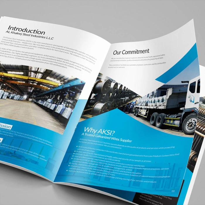 A4 brochure with full colour print - Color Life Print (photo 2)